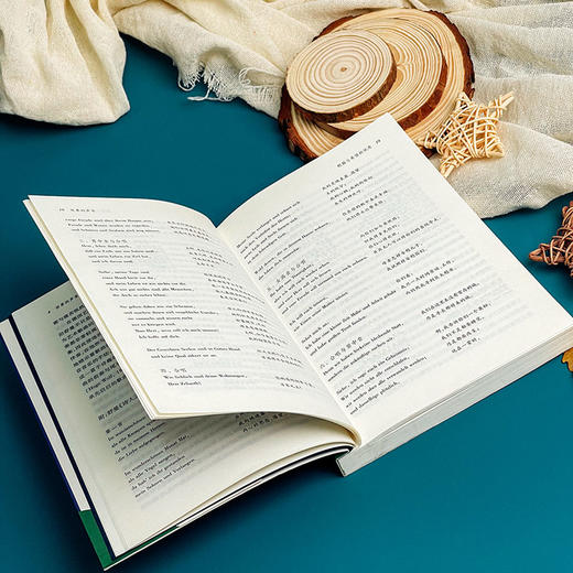 世界的声音 台湾诗人 翻译家陈黎 古典乐歌剧入门书 乐评 商品图6