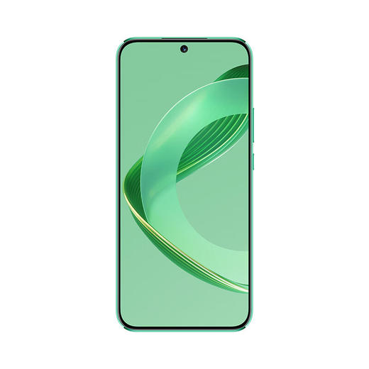 【家居】华为 HUAWEI nova 11 8GB+256GB 双卡 全网通版 商品图3