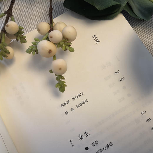 【正版】生命沉思录 3 人生的四季风景 曲黎敏 上海文艺出版社 正版书籍 商品图2