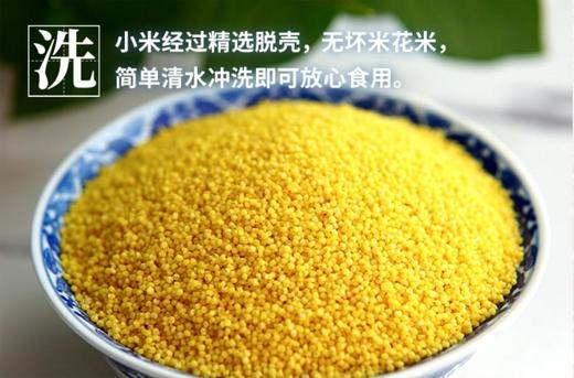 有机杂粮～山西灵丘 田脊梁有机农场 商品图7