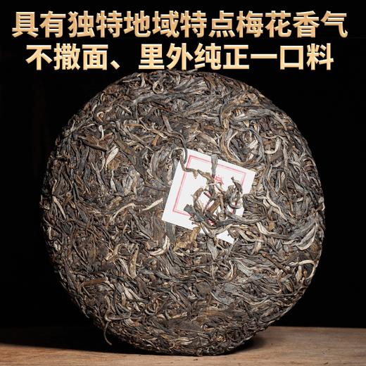 2023春茶 吉顺号古400临沧梅子箐普洱茶生茶饼茶叶357g 商品图3