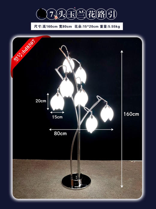 7头玉兰花路引（运费自理） 商品图0