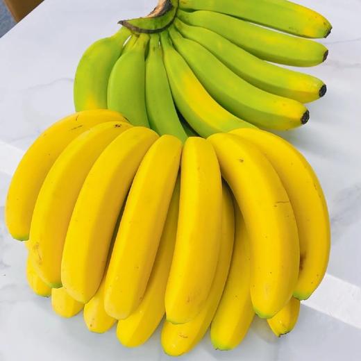 云南威尼斯香蕉 5斤装   【注意：到货后需自行催熟】根数仅供参考  以收到的重量为准 商品图3