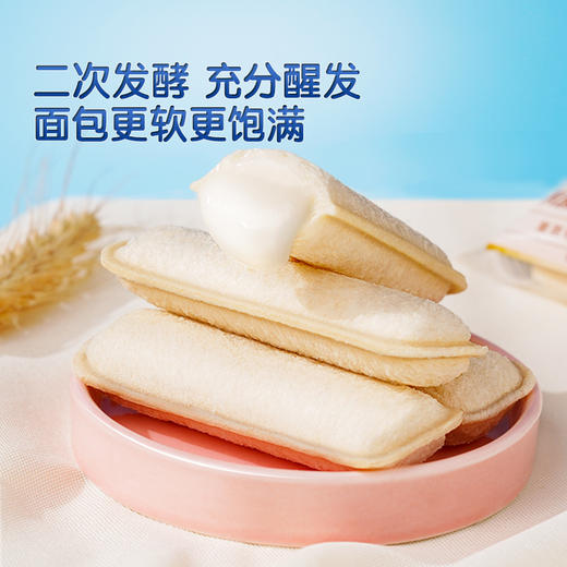 【会员满减专区】三只松鼠_乳酸菌小口袋原味/芒果味500g 商品图5