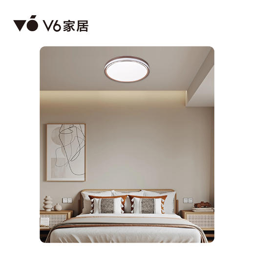 VFZ1-D031 吸顶灯 1000068992｜Vhome套餐产品 商品图0