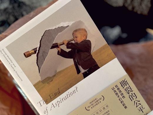 撕裂的公平：社会流动性以及孩子们的前景 ([英]邓肯·埃克斯利) 商品图3