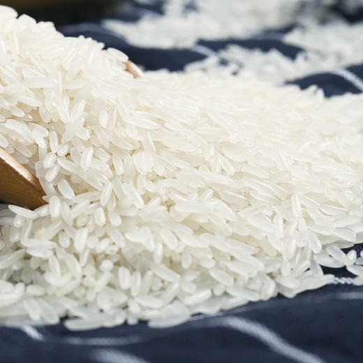 万年贡虾田丝苗米2.5kg 商品图2