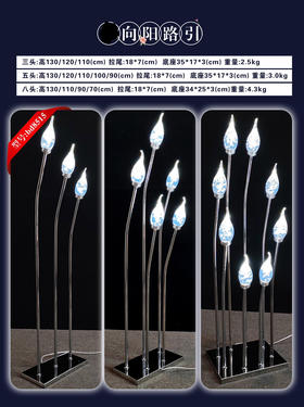 向阳路引（运费自理）