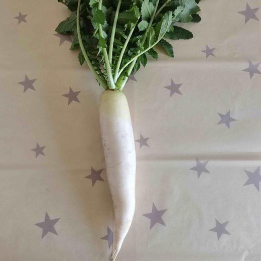 白萝卜 商品图0