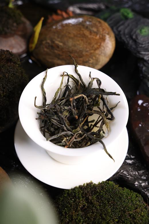 「昔归」藤条古树茶，低海拔茶气猛 商品图0