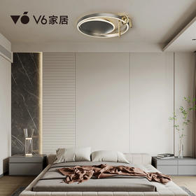 VFZ1-D034 吸顶灯 1000069008