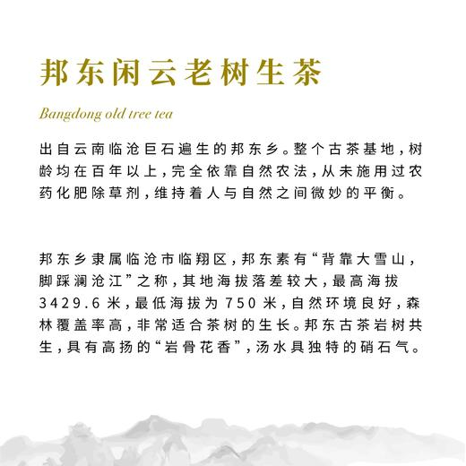 【昀茶·普洱系列】小满·2018年&2021年 邦东闲云老树生茶（ 357g/饼） 邦东老茶岩树共生 商品图5
