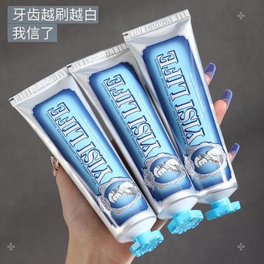 【三色yi菌，拍1发6】源自意大利轻奢牙膏中的爱马仕 INS博主种草 一肆生活多肉葡萄海盐荔枝经典薄荷美白防蛀有效清洁100g   商品图9