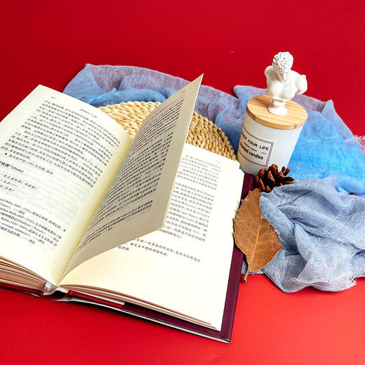 葡萄酒私人词典 私人词典系列 六点图书 商品图10