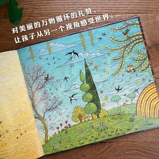 风到哪里去了 3-8岁 夏洛特·左罗托夫 著 儿童绘本 商品图2