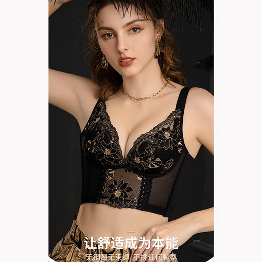 【欲望都市】院线刺绣款性感调整型文胸聚拢防下垂内衣 23010 商品图0