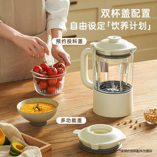 BRUNO 柔音破壁机家用豆浆机加热全自动投料降噪预约榨汁机搅拌机辅食机早餐机非静音 商品图2