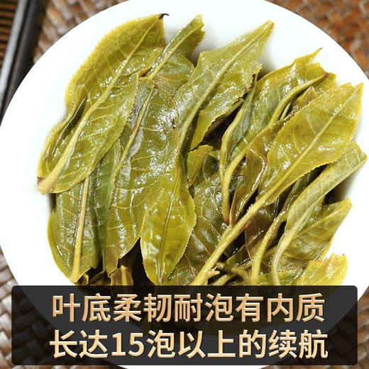 2023春茶 薄荷塘普洱茶生茶古树生普云南七子饼茶叶2499克 商品图3