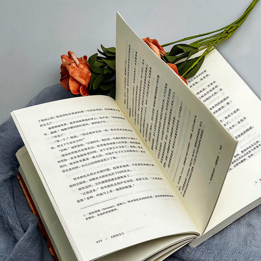 太阳的女儿 青少年读物 虚构历史小说 走进古希腊文明 商品图7