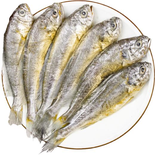 野生小黄鱼 商品图5