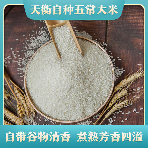 绿色公社五常大米 原粮稻花香2号 自有基地种植 5kg 商品图2