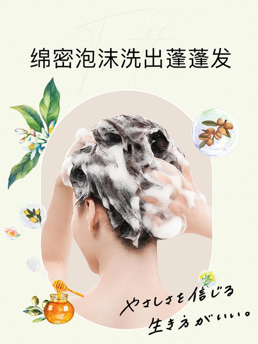 黛丝恩 植萃洗发水480ml 商品图2