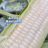 漳洲牛奶水果玉米  |果蔬 商品缩略图2