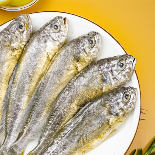 野生小黄鱼 商品图3