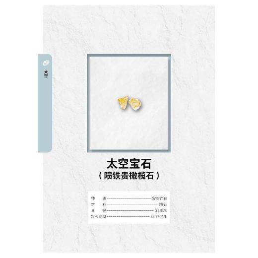 迷你博物馆 见证历史的133件物品 商品图1