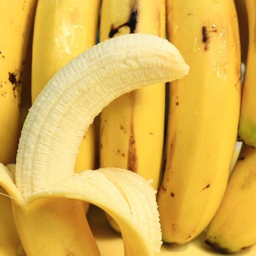 云南威尼斯香蕉 5斤装   【注意：到货后需自行催熟】根数仅供参考  以收到的重量为准 商品图7