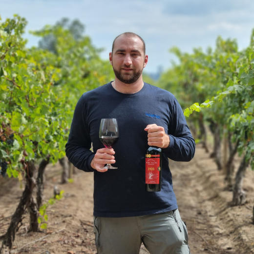 瑞多佳美娜干红葡萄酒 商品图4