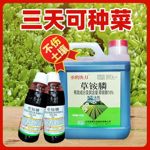 草铵膦除草剂草胺磷草铵磷除草烂根剂草安磷农药正品果园除草杂草 商品图1