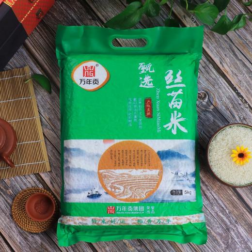 万年贡甄选丝苗米5kg 商品图3