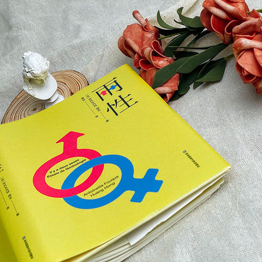 两性 女性学论集 法国女性问题研究旗帜性著作 性别研究 女权主义 商品图8