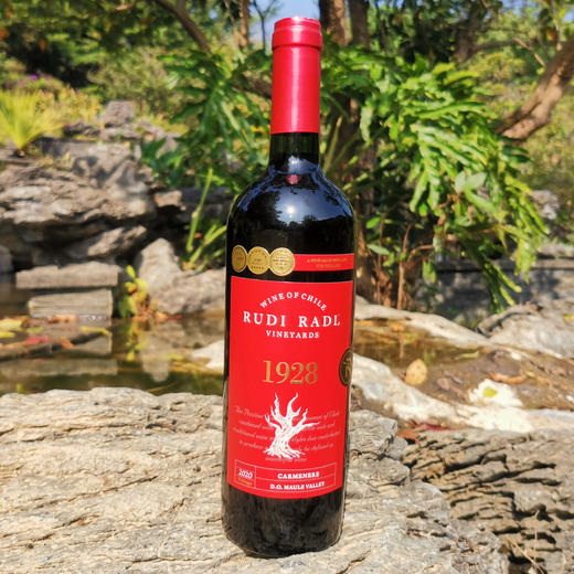 瑞多佳美娜干红葡萄酒 商品图2