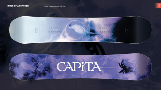 Capita 23-24 【BIRDS OF A FEATHER】 RESORT 全能雪板 140 142 144 146 148 150 商品图1