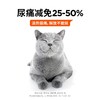 万物一口猫罐头白茅根罐头补水利尿汤罐嘘嘘罐成猫零食罐营养湿粮 商品缩略图1