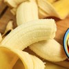 云南威尼斯香蕉 5斤装   【注意：到货后需自行催熟】根数仅供参考  以收到的重量为准 商品缩略图8