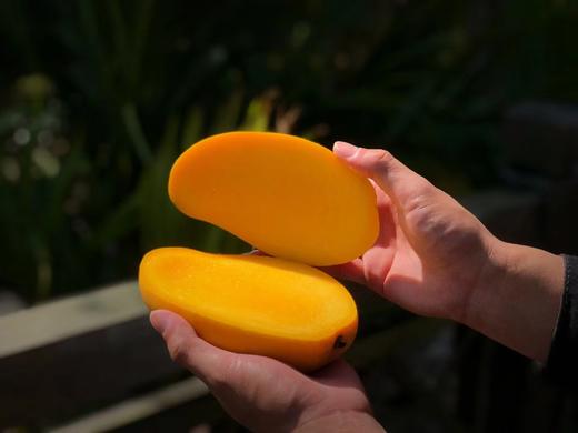 品质差下架-海南金煌芒8斤礼盒装【分仓直发，72小时发货，周末节假日不发货】 商品图3