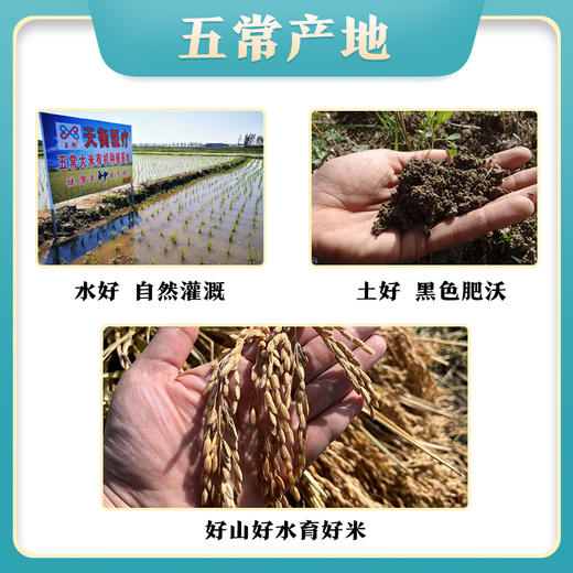 绿色公社五常大米 原粮稻花香2号 自有基地种植 5kg 商品图4