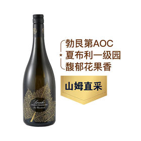 MM 山姆 Domaine Laroche Saint Martin 法国进口 大石园夏布利一级园白葡萄酒 750ml