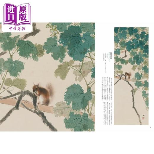 【中商原版】木岛樱谷绘画集 画三昧之道 进口艺术 木岛樱谷 画三昧への道 木岛樱谷 実方叶子 东京美术 日文原版 商品图2