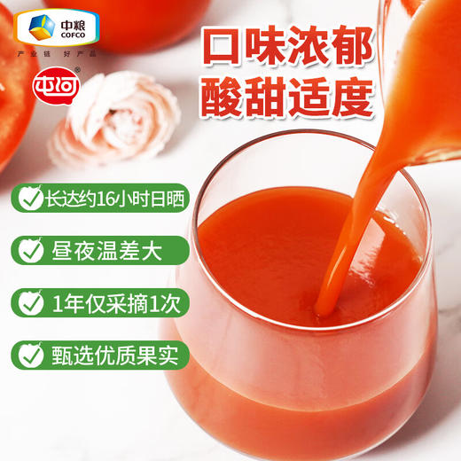 中粮屯河番茄汁（无添加蔗糖）果蔬汁 无香精防腐  茄香浓郁  酸甜适度 250ml*24 商品图5