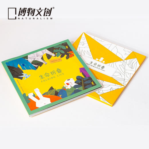 博物文创 生命折叠折纸玩具礼盒儿童节礼物早教科普益智 商品图0