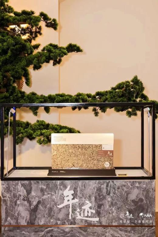 小罐茶旗下年迹 老树银针（紧压白毫银针茶）博鳌亚洲论坛2023年年会纪念茶 商品图6