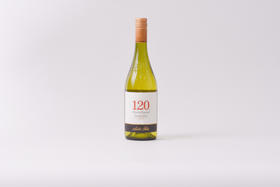 圣丽塔120霞多丽干白葡萄酒