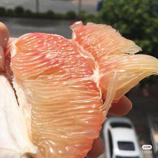 泰国顶级翡翠红心柚 | 进口水果 商品图1