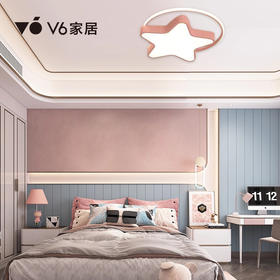 VFZ1-D038 吸顶灯 1000068976