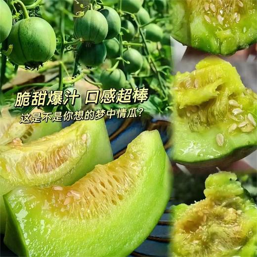 绿宝石甜瓜 |水果 商品图2