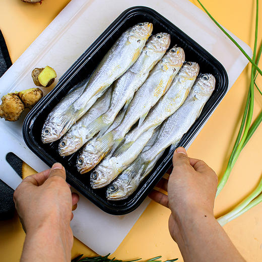 野生小黄鱼 商品图4